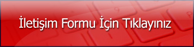 Contact Form